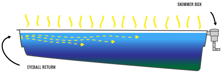 Circulation for Clean and Healthy Pool - Traditional Pool